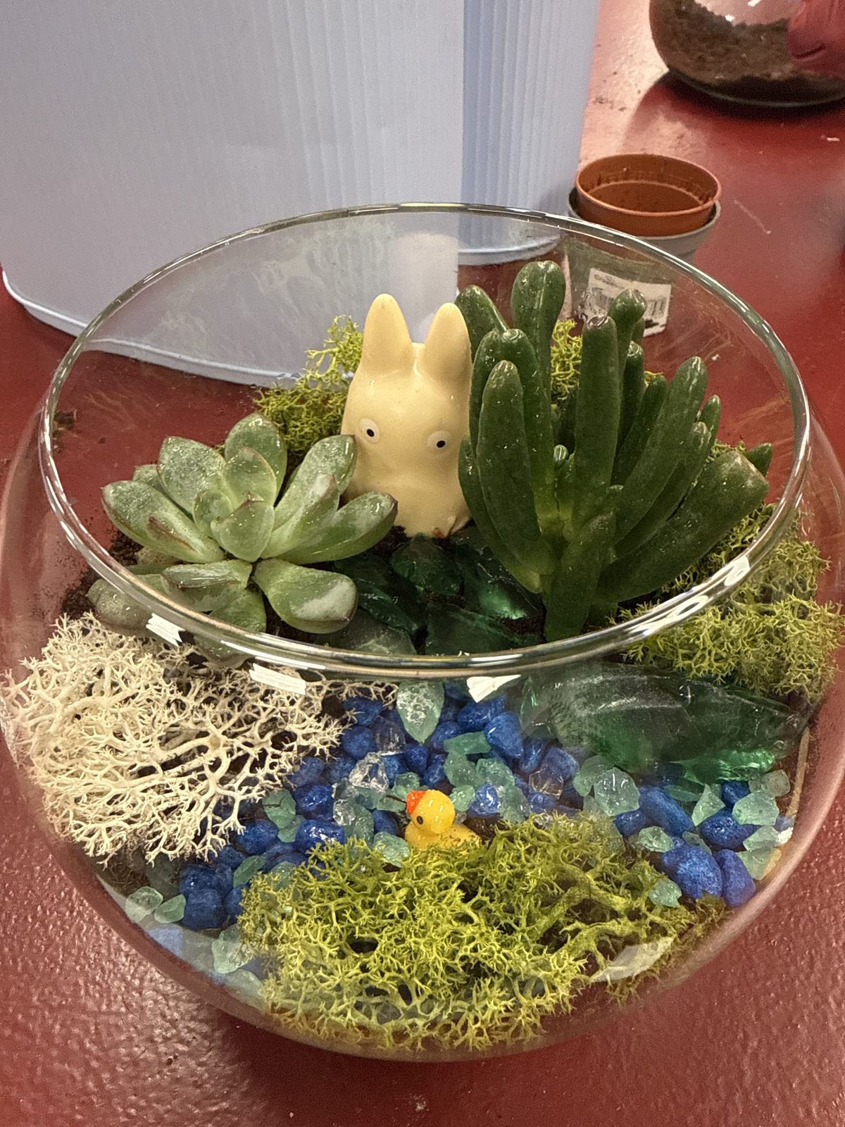 Customer photo