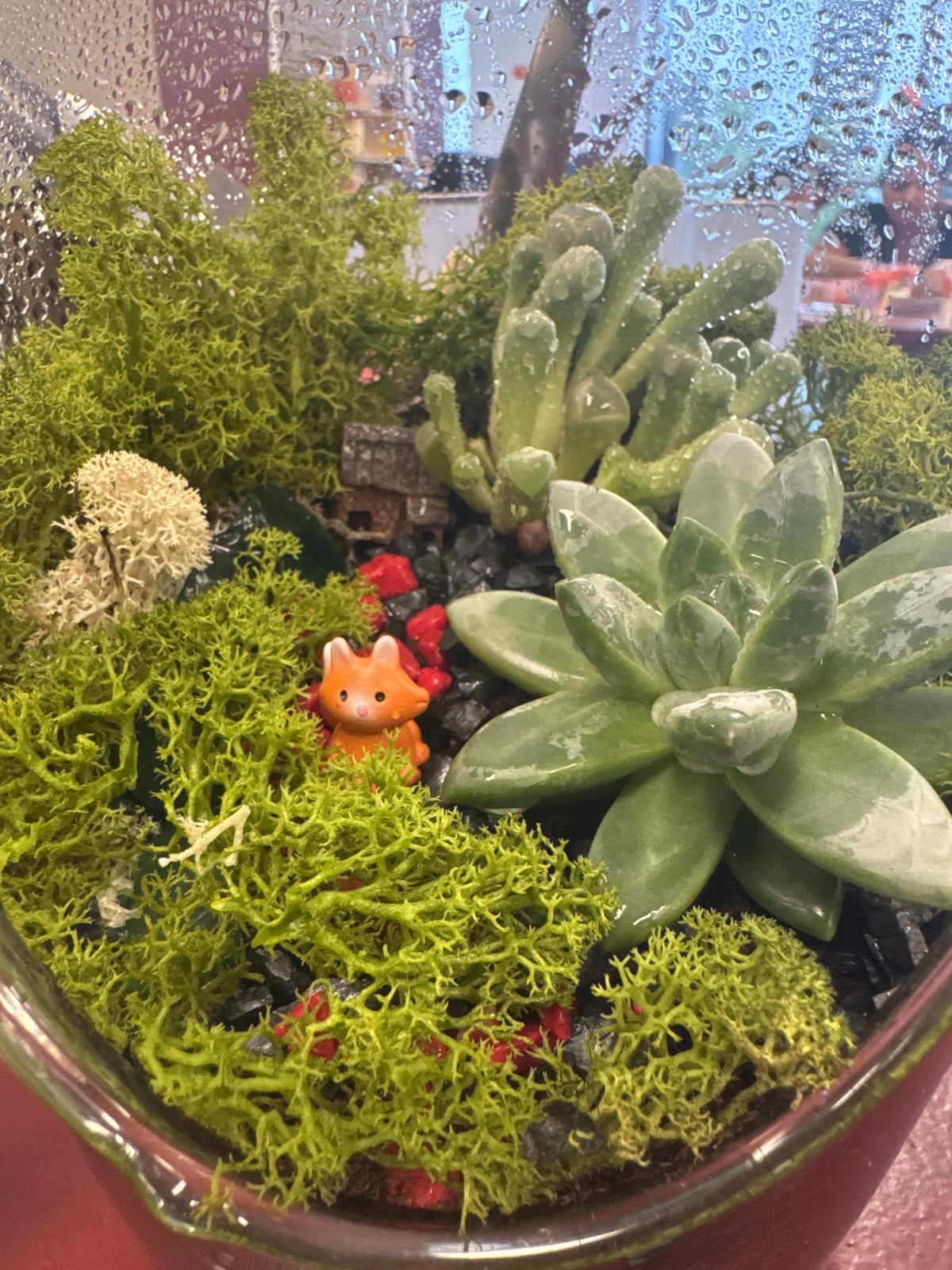 Customer photo