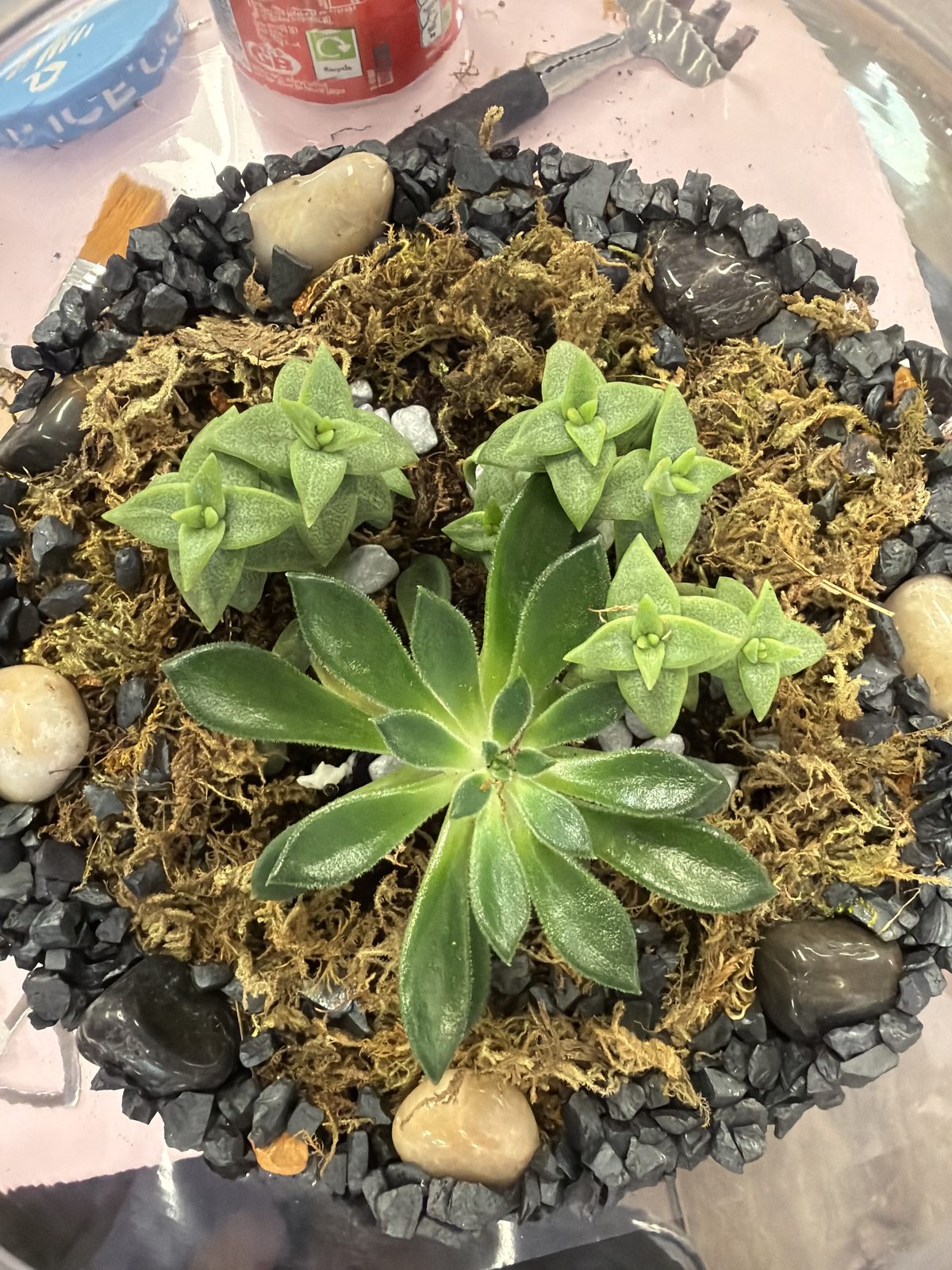 Customer photo